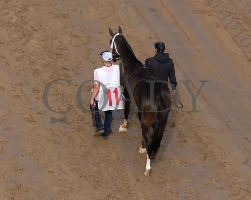 GOOD CHEER - The Longines Kentucky Oaks G1 - 151st Running - 05-02-25 - R11 - CD - Walk Over 01 Churchill Downs