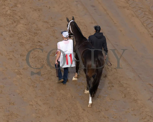 GOOD CHEER - The Longines Kentucky Oaks G1 - 151st Running - 05-02-25 - R11 - CD - Walk Over 01 Churchill Downs