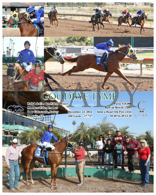 Goodbye Tyme - 12-23-24 R01 Turf Paradise