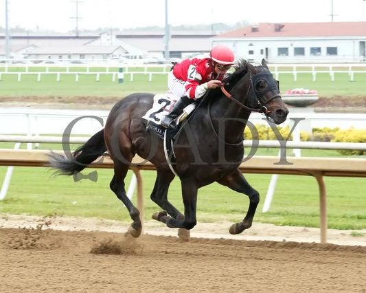 GOODLOOKINJUSTICE - The Gary Patrick Overnight Handicap - 10-25-25 - R02 - Horseshoe Indiana - Finish 02 - Devin Hall
