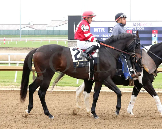 GOODLOOKINJUSTICE - The Gary Patrick Overnight Handicap - 10-25-25 - R02 - Horseshoe Indiana - Post Parade 02