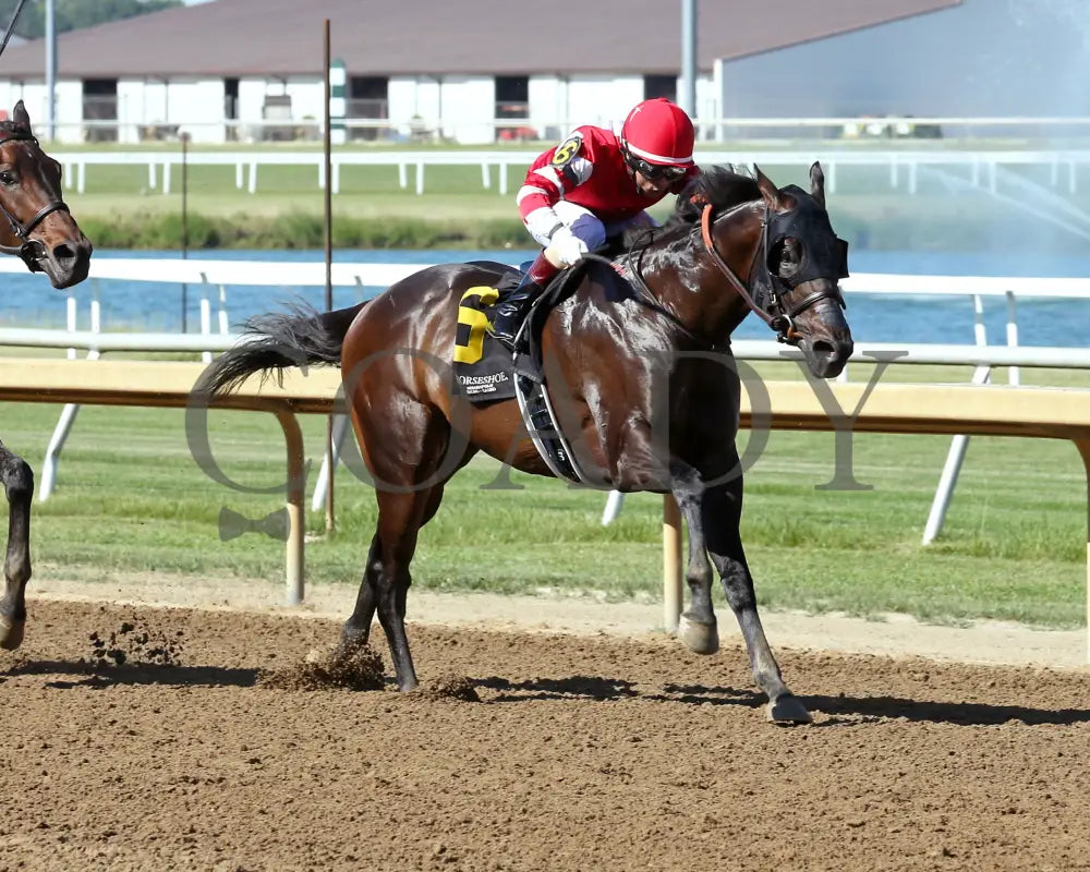 Goodloookinjustice - Hoosier Breeders Sophomore Handicap 15Th Running 06-12-24 R07 Horseshoe