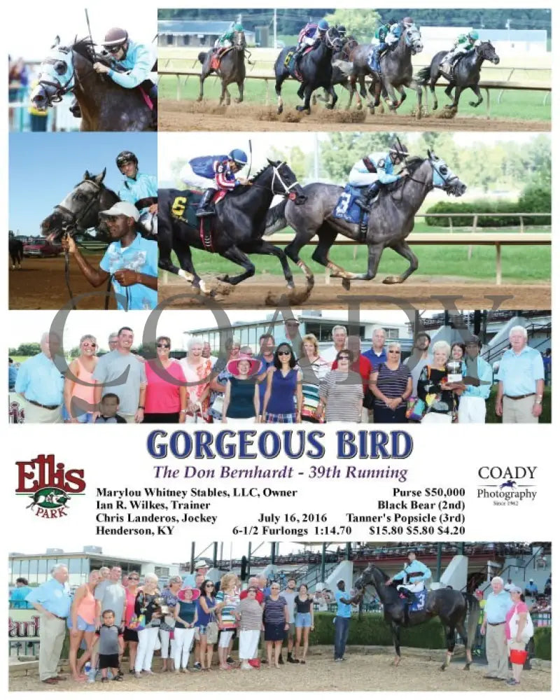 GORGEOUS BIRD - 071616 - Race 08 - ELP - Coady Media - Kurtis Coady Photography