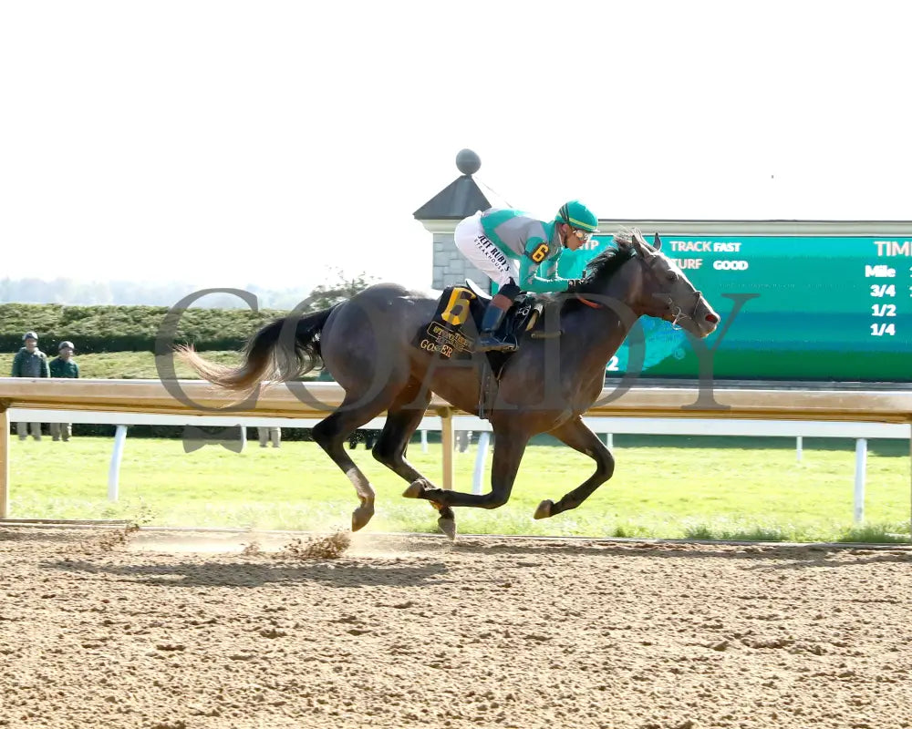 GOSGER - The Stonestreet Lexington G3 - 04-12-25 - R09 - KEE - Finish 01 Keeneland