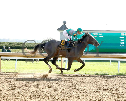 GOSGER - The Stonestreet Lexington G3 - 04-12-25 - R09 - KEE - Finish 01 Keeneland