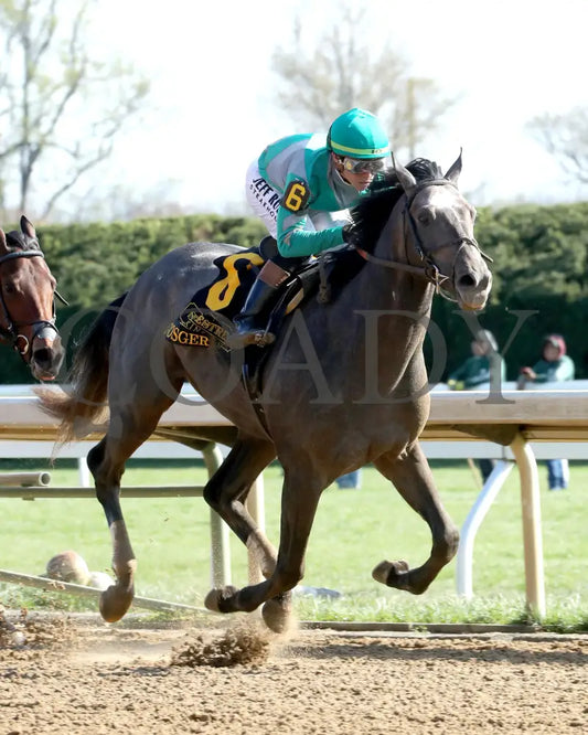 GOSGER - The Stonestreet Lexington G3 - 04-12-25 - R09 - KEE - Finish 02 Keeneland