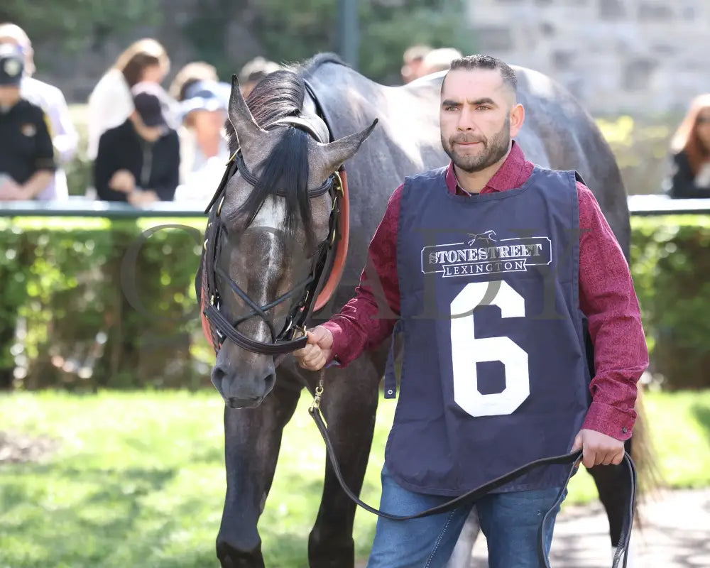 GOSGER - The Stonestreet Lexington G3 - 04-12-25 - R09 - KEE - Paddock 01 Keeneland