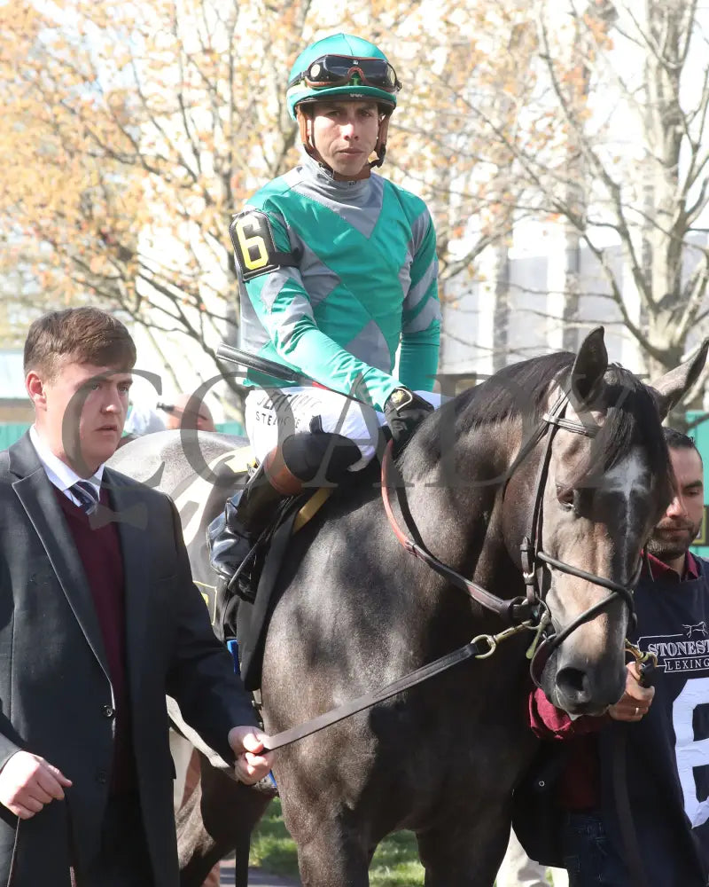 GOSGER - The Stonestreet Lexington G3 - 04-12-25 - R09 - KEE - Paddock 03 Keeneland