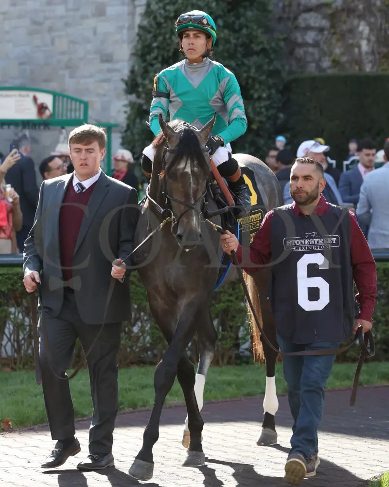 GOSGER - The Stonestreet Lexington G3 - 04-12-25 - R09 - KEE - Paddock 04 Keeneland
