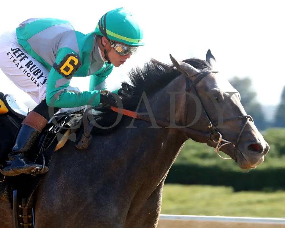 GOSGER - The Stonestreet Lexington G3 - 04-12-25 - R09 - KEE - Tight Finish 01 Keeneland