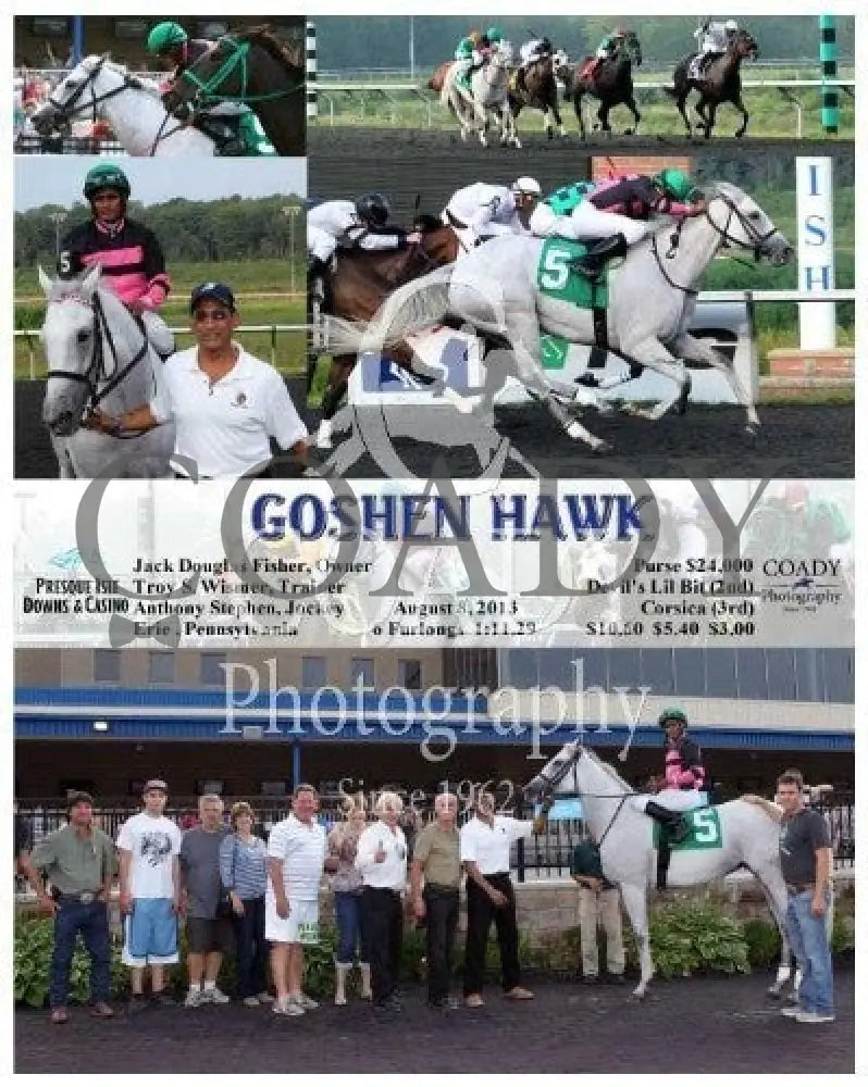 Goshen Hawk - 080813 Race 05 Pid Presque Isle Downs