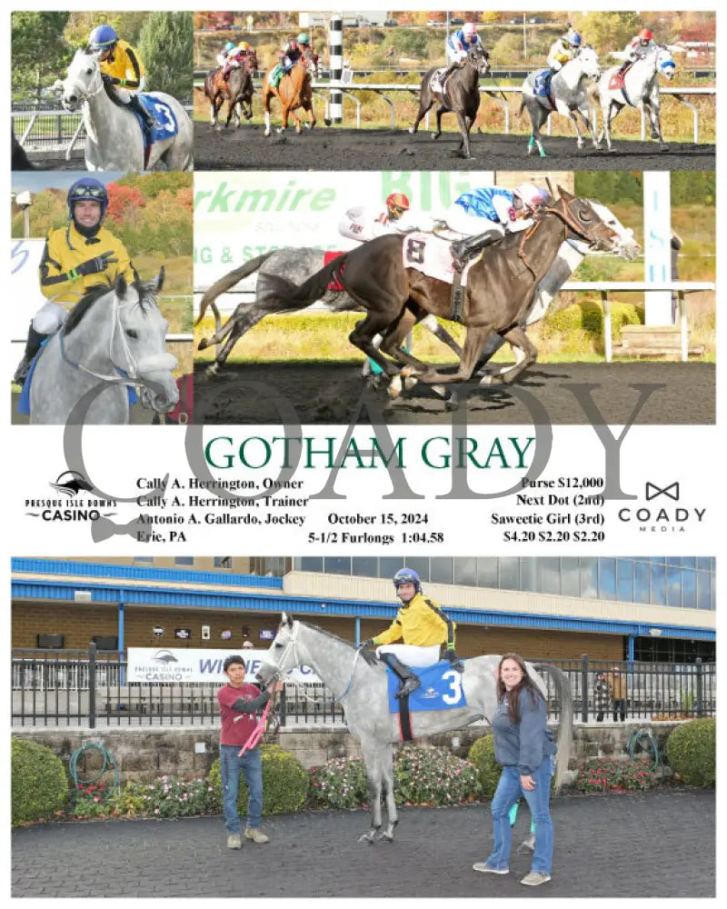 Gotham Gray - 10-15-24 R05 Pid Presque Isle Downs