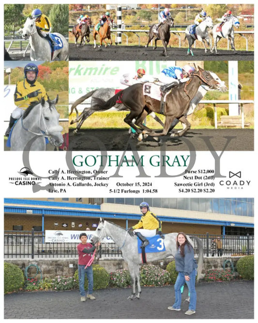 Gotham Gray - 10-15-24 R05 Pid Presque Isle Downs