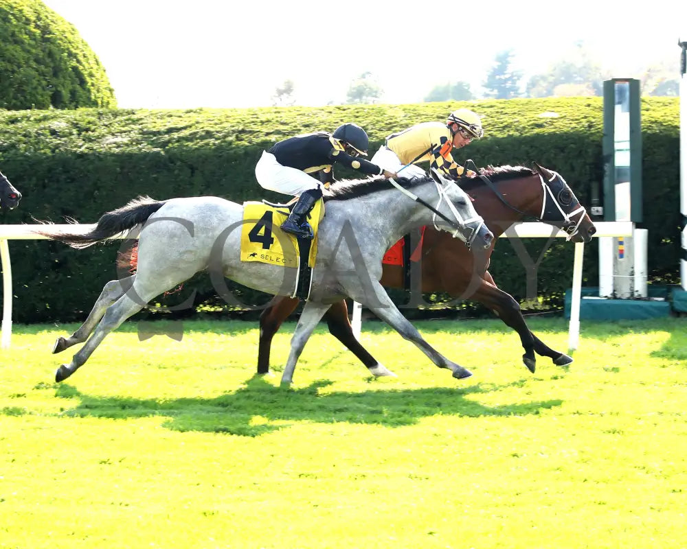 Governor Sam - 100624 Race 08 Kee The Indian Summer Finish 01 Keeneland