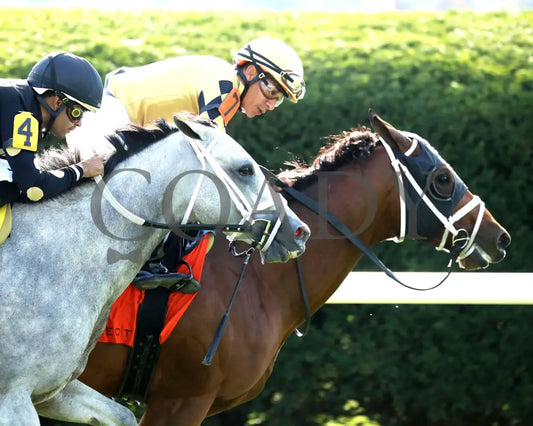 Governor Sam - 100624 Race 08 Kee The Indian Summer Finish 03 Keeneland