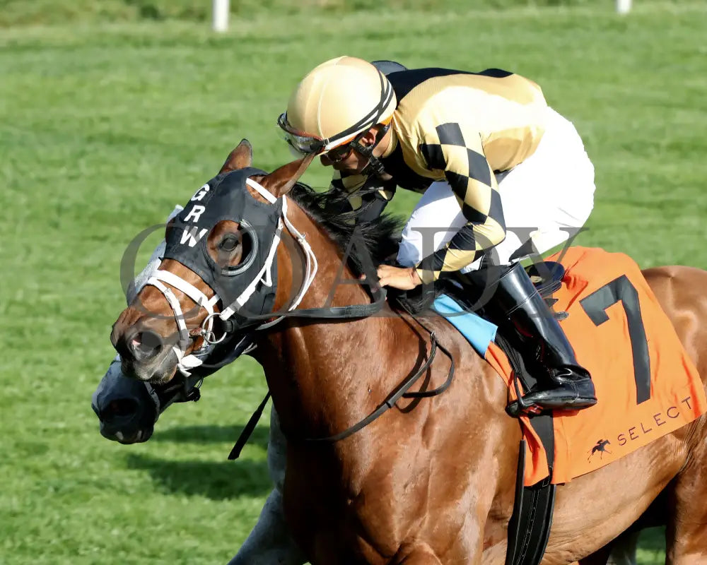 Governor Sam - 100624 Race 08 Kee The Indian Summer Inside Finish 01 Keeneland