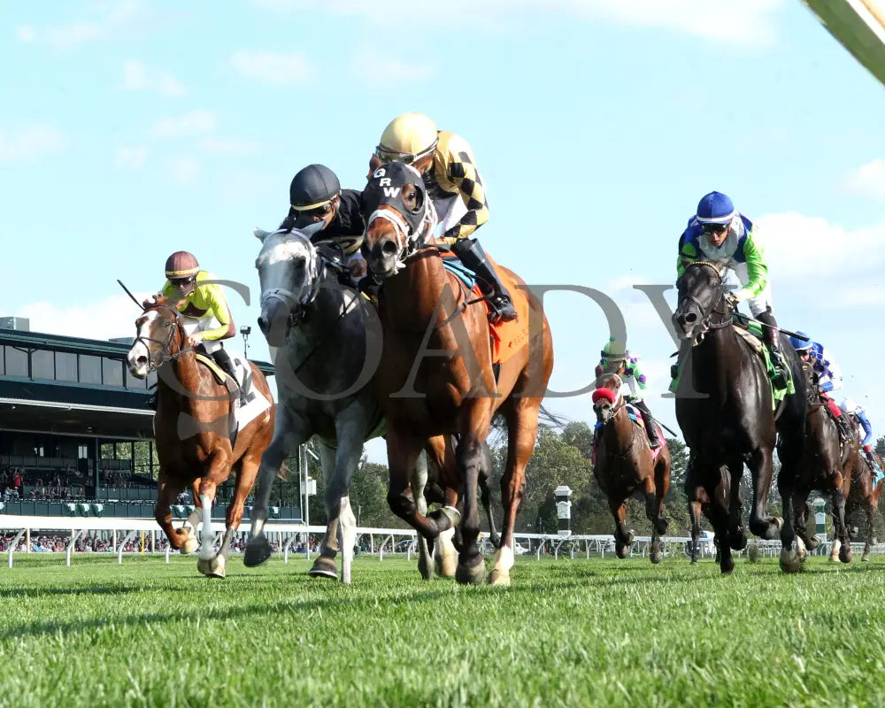Governor Sam - 100624 Race 08 Kee The Indian Summer Under Rail 01 Keeneland