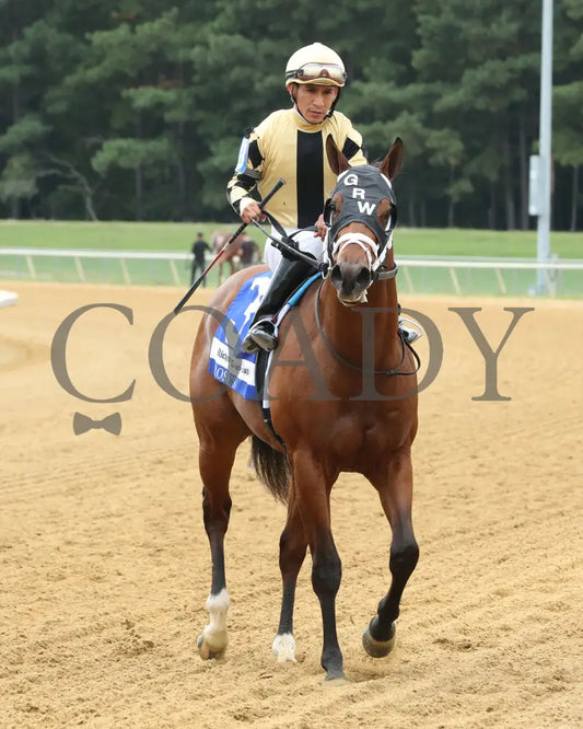 Governor Sam - The Richmond Times-Dispatch Rosie’s Stakes 09-07-24 R06 Cnl Come Back 01 Colonial