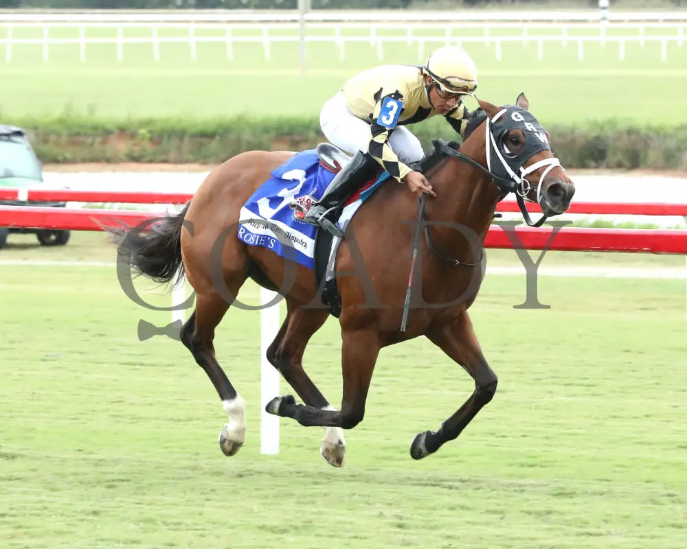 Governor Sam - The Richmond Times-Dispatch Rosie’s Stakes 09-07-24 R06 Cnl Finish 02 Colonial Downs