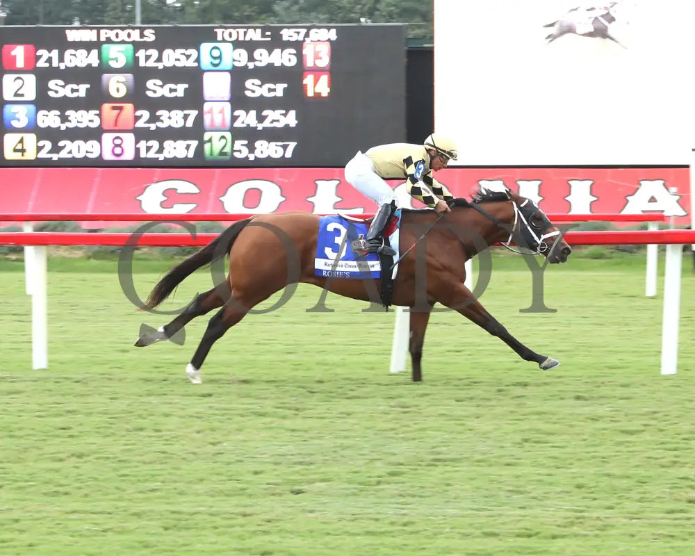 Governor Sam - The Richmond Times-Dispatch Rosie’s Stakes 09-07-24 R06 Cnl Finish 03 Colonial Downs