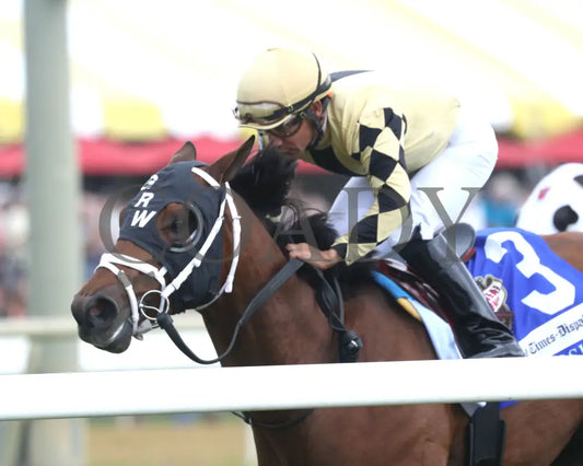 Governor Sam - The Richmond Times-Dispatch Rosie’s Stakes 09-07-24 R06 Cnl Inside Finish 01