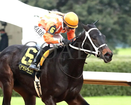 GRACE IS FREE - Mockingbird Stakes - 01-04-26 - R09 - Oaklawn Park - Finish 05 - Andrew Stauffacher - Coady Media - Kurtis Coady Photography