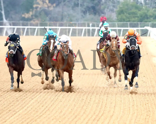 GRACE IS FREE - Mockingbird Stakes - 01-04-26 - R09 - Oaklawn Park - Head On 01 - Robi Heffington - Coady Media - Kurtis Coady Photography