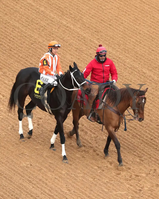GRACE IS FREE - Mockingbird Stakes - 01-04-26 - R09 - Oaklawn Park - Post Parade 03 - Kara West - Coady Media - Kurtis Coady Photography