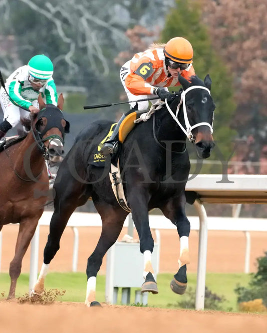 GRACE IS FREE - Mockingbird Stakes - 01-04-26 - R09 - Oaklawn Park - Turn 02 - Coady Media - Kurtis Coady Photography