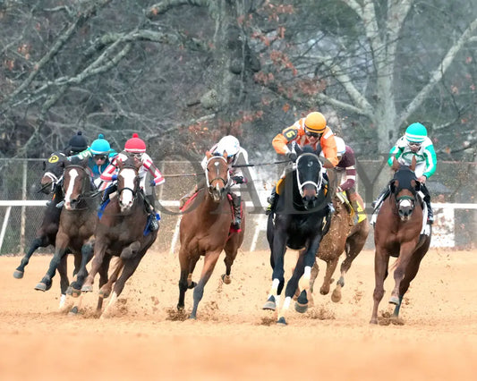 GRACE IS FREE - Mockingbird Stakes - 01-04-26 - R09 - Oaklawn Park - Turn 01 - Coady Media - Kurtis Coady Photography