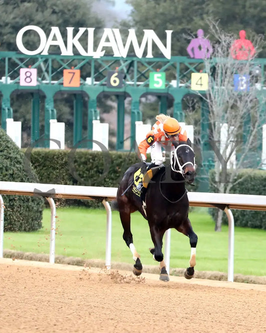GRACE IS FREE - Mockingbird Stakes - 01-04-26 - R09 - OP - Finish 02 - Coady Media - Kurtis Coady Photography