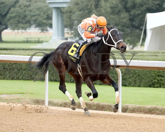GRACE IS FREE - Mockingbird Stakes - 01-04-26 - R09 - OP - Finish 04 - Andrew Stauffacher - Coady Media - Kurtis Coady Photography