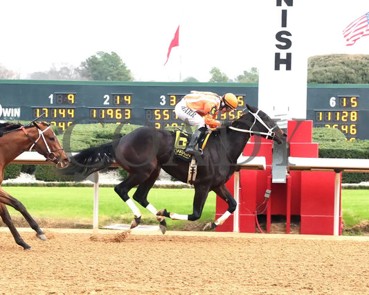 GRACE IS FREE - Mockingbird Stakes - 01-04-26 - R09 - OP - Finish 01 - Coady Media - Kurtis Coady Photography