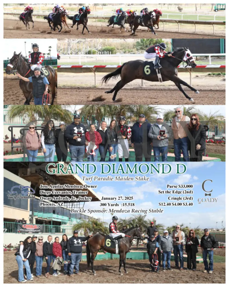 Grand Diamond D - Turf Paradie Maiden Stake 01-27-25 R02 Tup Paradise