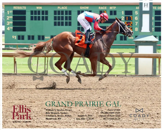 Grand Prairie Gal - 08-05-24 R02 Elp Action Ellis Park