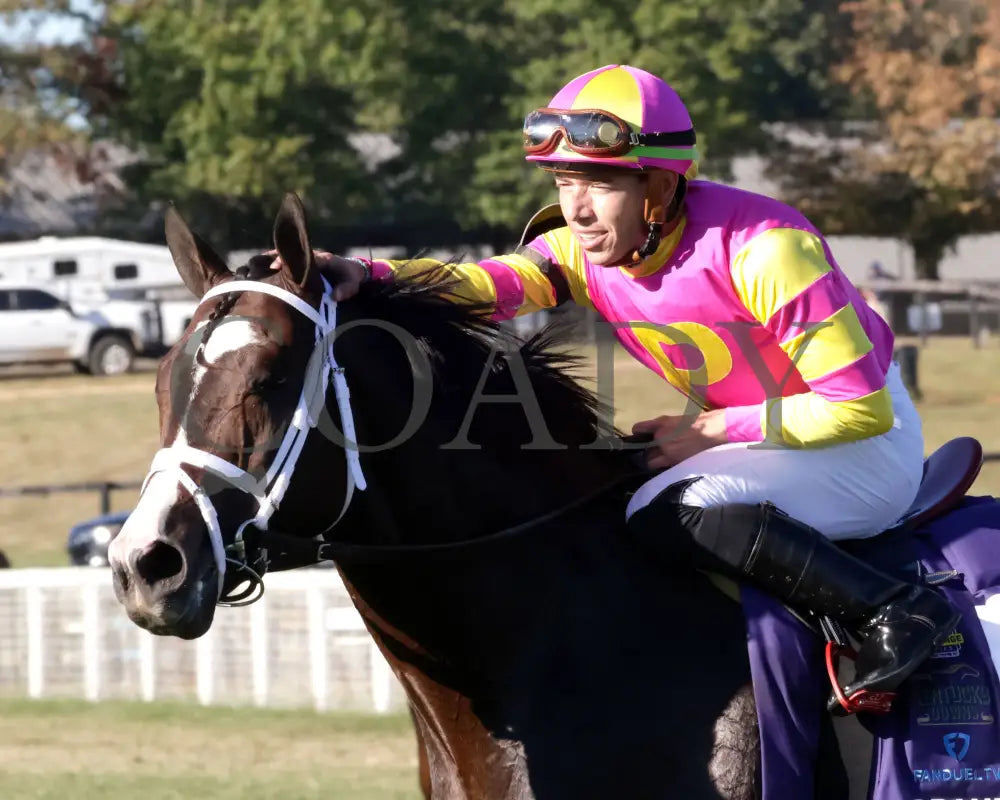Grand Sonata - The Fanduel Tv Kentucky Turf Cup G1 09-07-24 R10 Kd Come Back 01 Downs