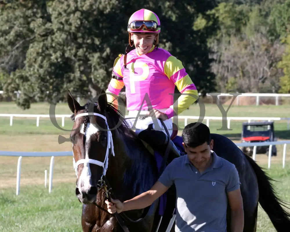 Grand Sonata - The Fanduel Tv Kentucky Turf Cup G1 09-07-24 R10 Kd Come Back 02 Downs