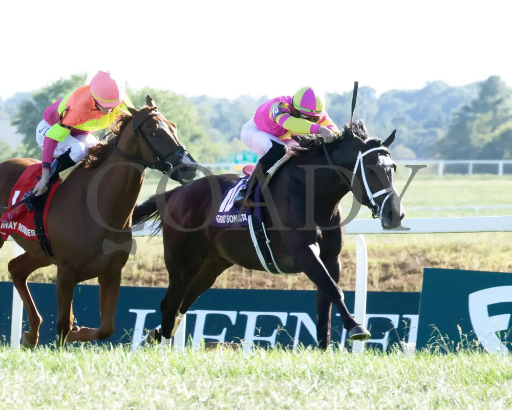 Grand Sonata - The Fanduel Tv Kentucky Turf Cup G1 09-07-24 R10 Kd Finish 02 Downs