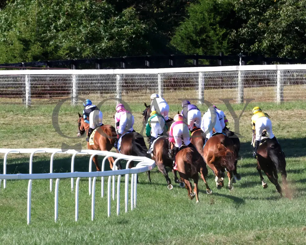 Grand Sonata - The Fanduel Tv Kentucky Turf Cup G1 09-07-24 R10 Kd First Turn 01 Downs