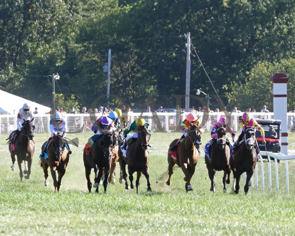 Grand Sonata - The Fanduel Tv Kentucky Turf Cup G1 09-07-24 R10 Kd Head On 01 Downs