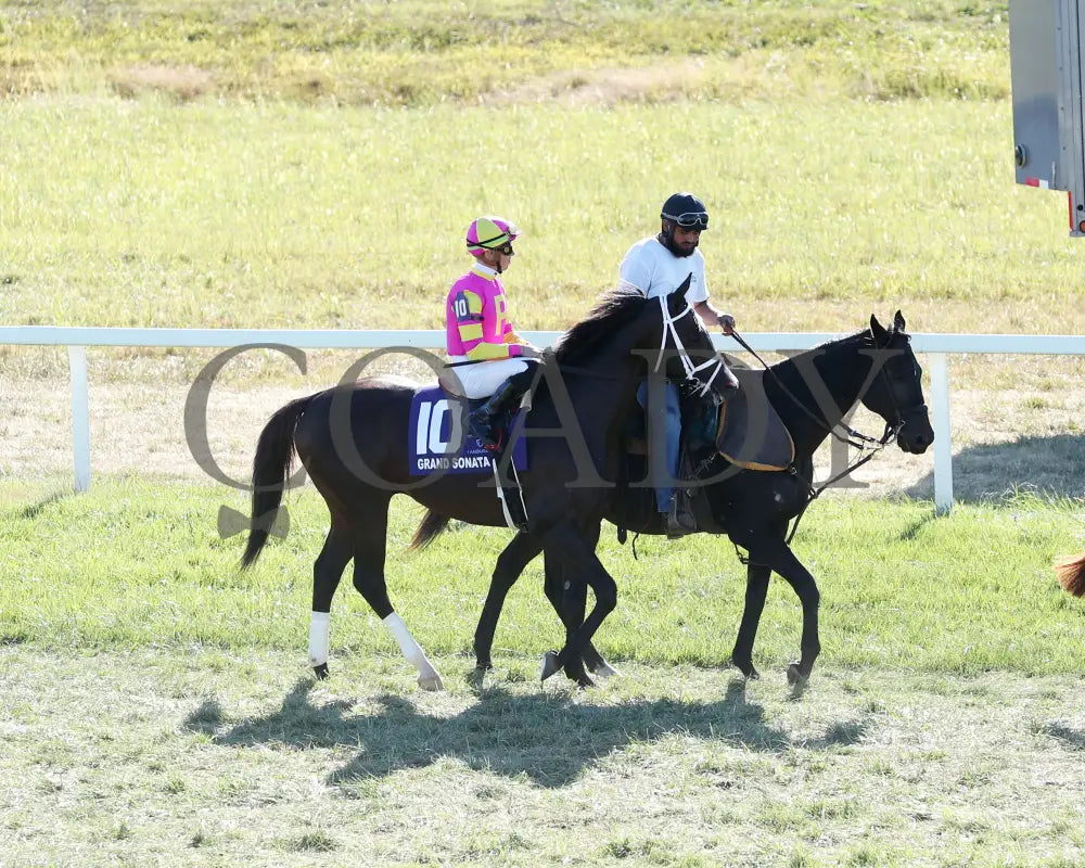 Grand Sonata - The Fanduel Tv Kentucky Turf Cup G1 09-07-24 R10 Kd Post Parade 01 Downs