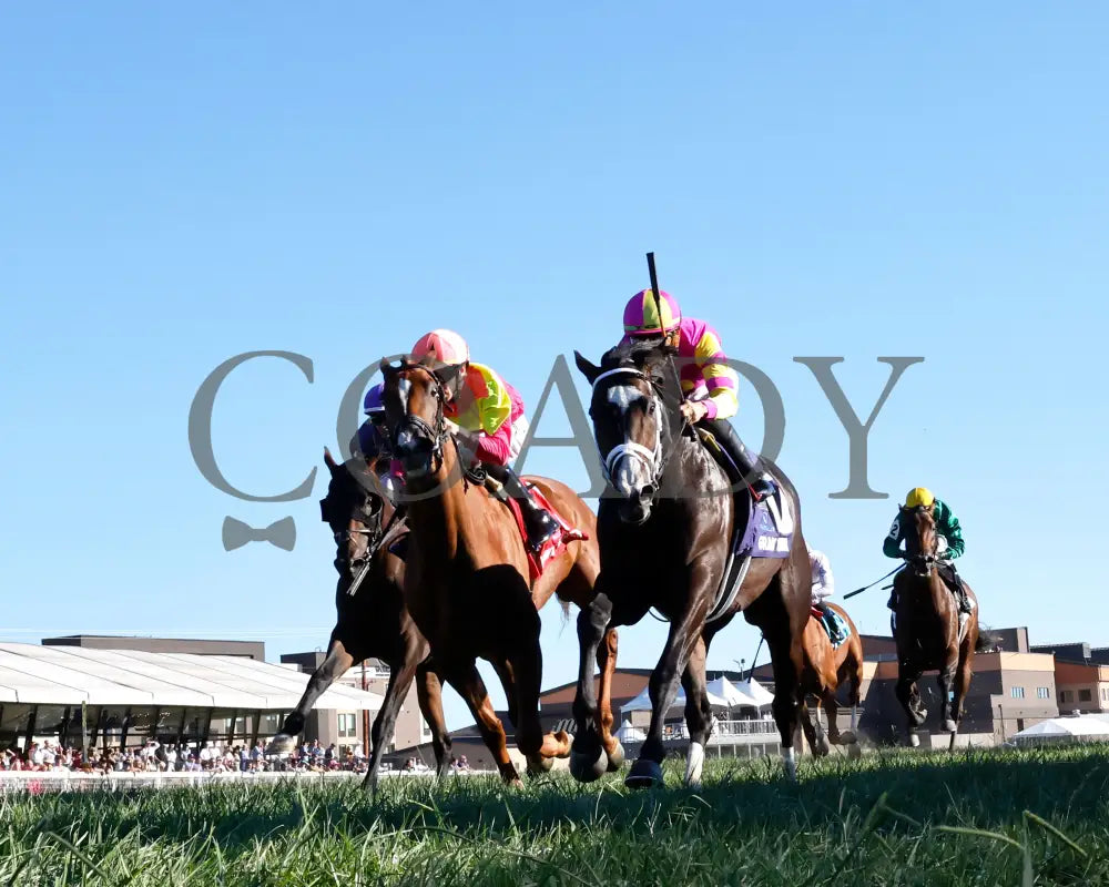 Grand Sonata - The Fanduel Tv Kentucky Turf Cup G1 09-07-24 R10 Kd Under Rail 01 Downs
