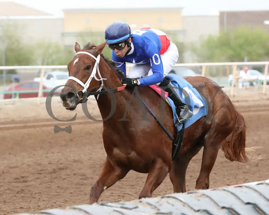 Grease Missle - Princess Of Palms Stakes 02-26-24 R03 Turf Paradise Inside Finish