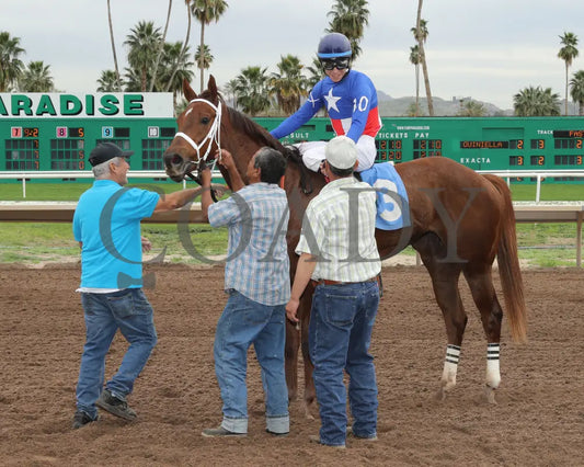 Grease Missle - Princess Of Palms Stakes 02-26-24 R03 Turf Paradise Return Shot 2
