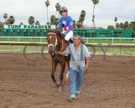 Grease Missle - Princess Of Palms Stakes 02-26-24 R03 Turf Paradise Return Shot