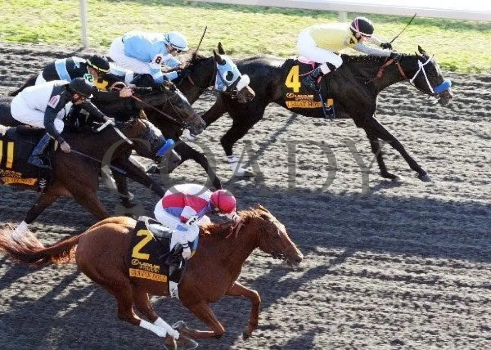 Great Hot - Aerial The 13Th Running Of Lexus Keeneland