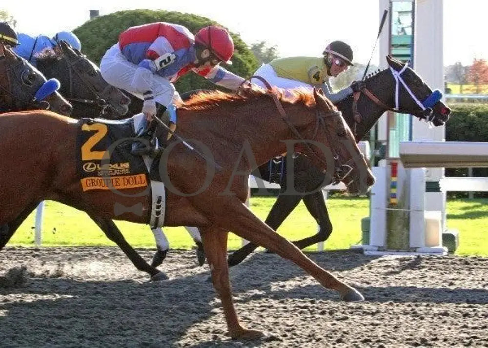 Great Hot - Finish The 13Th Running Of Lexus Keeneland