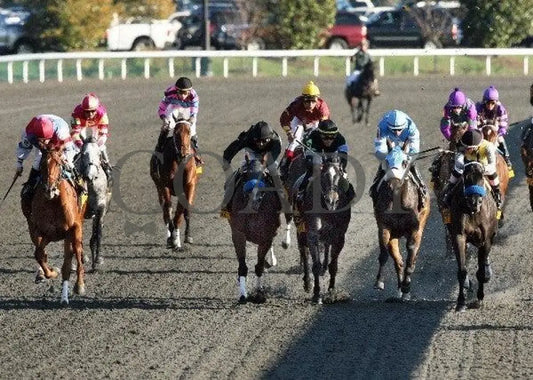 Great Hot - Head On The 13Th Running Of Lexu Keeneland