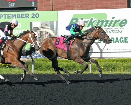 Greavette - The Malvern Rose Stakes 18Th Running 07-08-24 R07 Pid Finish Presque Isle Downs