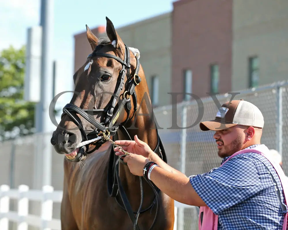 Greavette - The Malvern Rose Stakes 18Th Running 07-08-24 R07 Pid Paddock 01 Presque Isle Downs